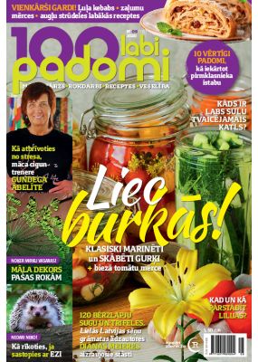 E- 100 Labi padomi Nr. 8, 2020