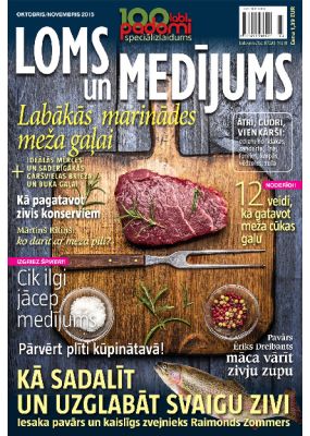 E- 100 labi padomi Speciālizdevums Nr.03.2015