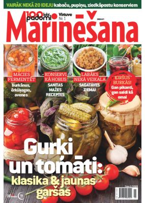 E- 100 labi padomi Speciālizdevums Nr. 3, 2024