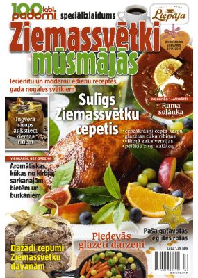 E- 100 labi padomi Speciālizdevums Nr. 04, 2014