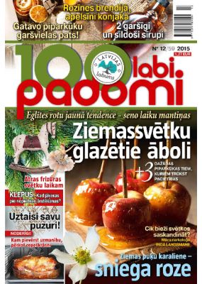 E- 100 Labi padomi Nr.12.2015