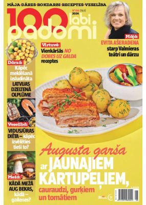 E- 100 Labi padomi Nr. 8, 2024