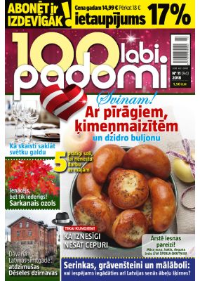 E- 100 Labi padomi Nr. 11, 2018