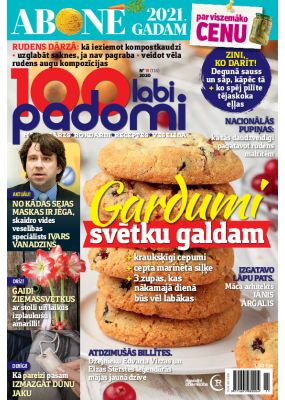 E- 100 Labi padomi Nr. 11, 2020