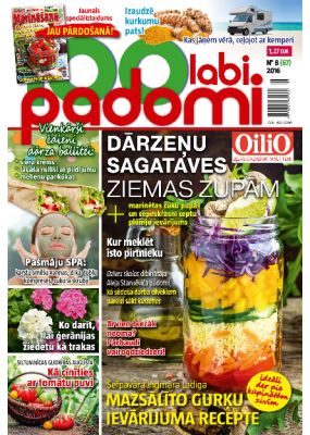 E- 100 Labi padomi Nr.08.2016