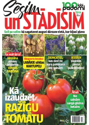 E- 100 labi padomi Speciālizdevums Nr. 1, 2024