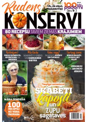 E- 100 labi padomi Speciālizdevums Nr. 8, 2023