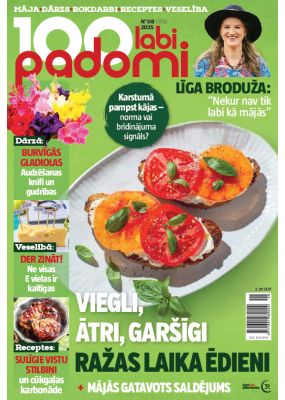 E- 100 Labi padomi Nr. 8, 2025