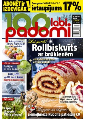 E- 100 Labi padomi Nr. 12, 2018