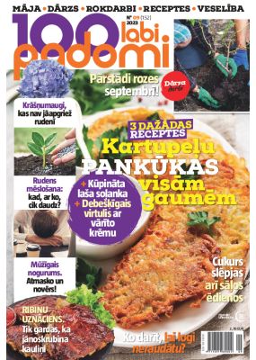 E- 100 Labi padomi Nr. 9, 2023