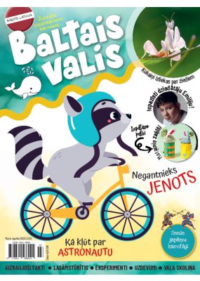 E- Baltais valis Nr. 2, 2026