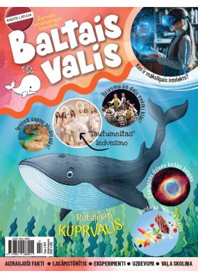 E- Baltais valis Nr. 4, 2025