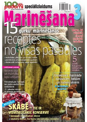 E- 100 labi padomi Speciālizdevums Nr.02.2015