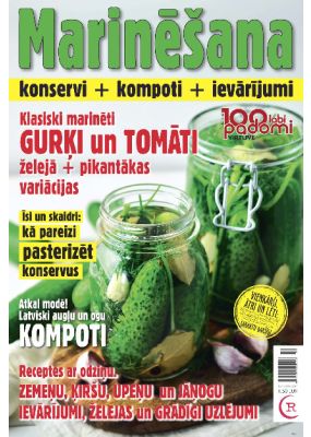 E- 100 labi padomi Speciālizdevums Nr. 6, 2018