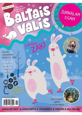 E- Baltais valis Nr. 1, 2026