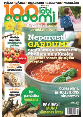 E- 100 Labi padomi Nr. 8, 2023