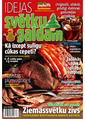 E- 100 labi padomi Speciālizdevums Nr.04.2015