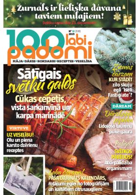 E- 100 Labi padomi Nr. 12, 2021