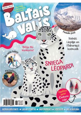 E- Baltais valis Nr. 6, 2025