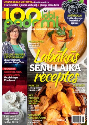 E- 100 Labi padomi Nr. 8, 2019