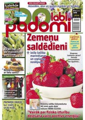 E- 100 Labi padomi Nr. 6, 2018