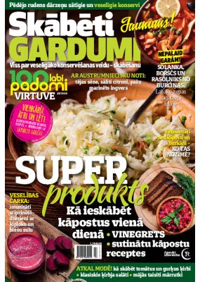 E- 100 labi padomi Speciālizdevums Nr. 10, 2019