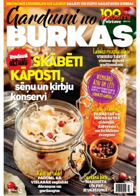 E- 100 labi padomi Speciālizdevums Nr. 9, 2021