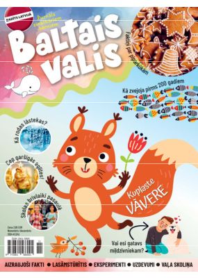 E- Baltais valis Nr. 6, 2024