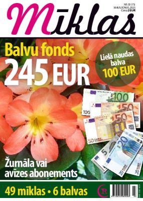 E-Mīklas Nr. 3, 2025