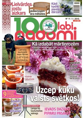 E- 100 Labi padomi Nr. 11, 2015