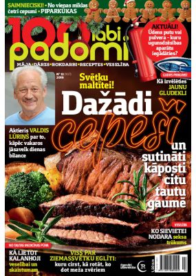 E- 100 Labi padomi Nr. 12, 2019