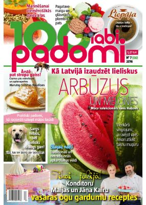 E- 100 Labi padomi Nr.07.2016