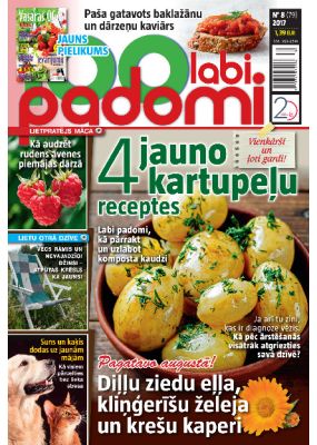 E- 100 Labi padomi Nr.08.2017