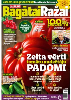 E- 100 labi padomi Speciālizdevums Nr. 7, 2019