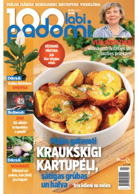 E- 100 Labi padomi Nr. 1, 2026