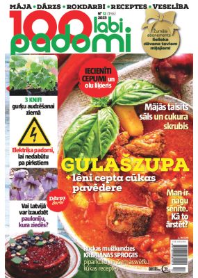 E- 100 Labi padomi Nr. 12, 2023