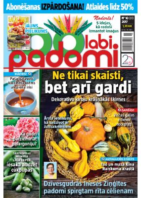 E- 100 Labi padomi Nr.10.2017