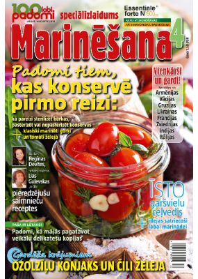 E- 100 labi padomi Speciālizdevums Nr.02.2016