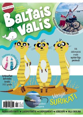 E- Baltais valis Nr. 5, 2025