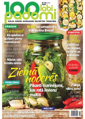 E- 100 Labi padomi Nr. 8, 2022