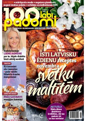 E- 100 Labi padomi Nr. 11, 2019