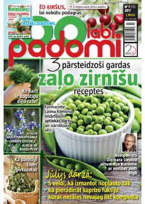 E- 100 Labi padomi Nr.07.2017