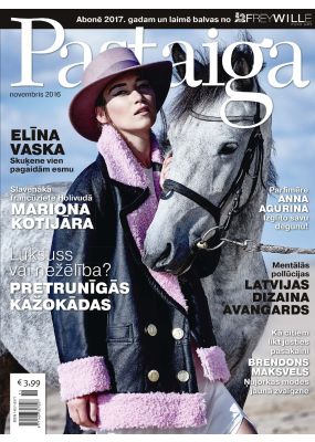 E- Pastaiga Nr. 11, 2016