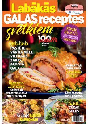 E- 100 labi padomi Speciālizdevums Nr. 11, 2021