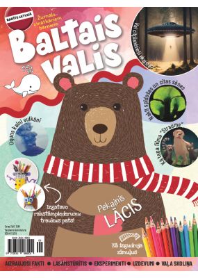 E- Baltais valis Nr. 5, 2024