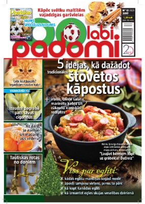 E- 100 Labi padomi Nr.12.2017