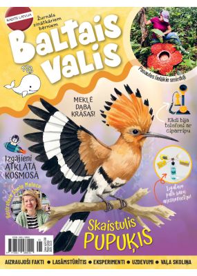 E- Baltais valis Nr. 3, 2026