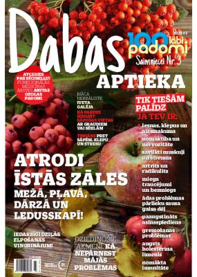 E- 100 labi padomi Speciālizdevums Nr. 10, 2020