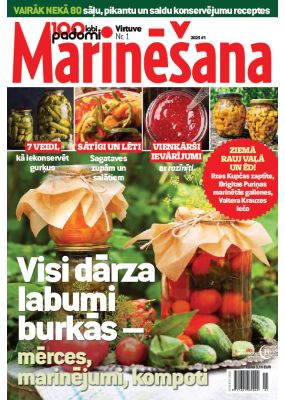 E- 100 labi padomi Speciālizdevums Nr. 3, 2025