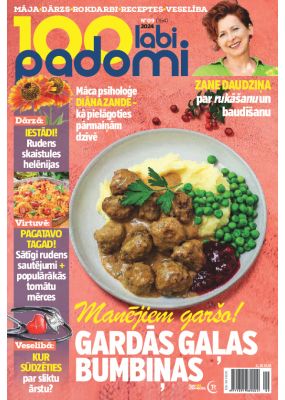 E- 100 Labi padomi Nr. 9, 2024